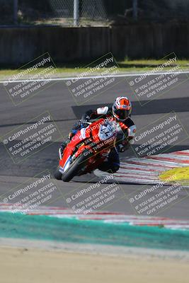 media/Mar-17-2024-Fastrack Riders (Sun) [[c7d6f8c14c]]/Level 2/Turn 6/